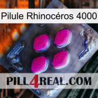 Pilule Rhinocéros 4000 02